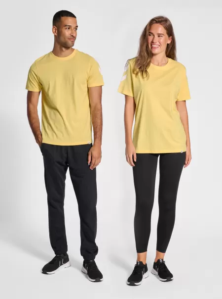 Golden Haze Men Hummel T-Shirts Hmllegacy Chevron T-Shirt