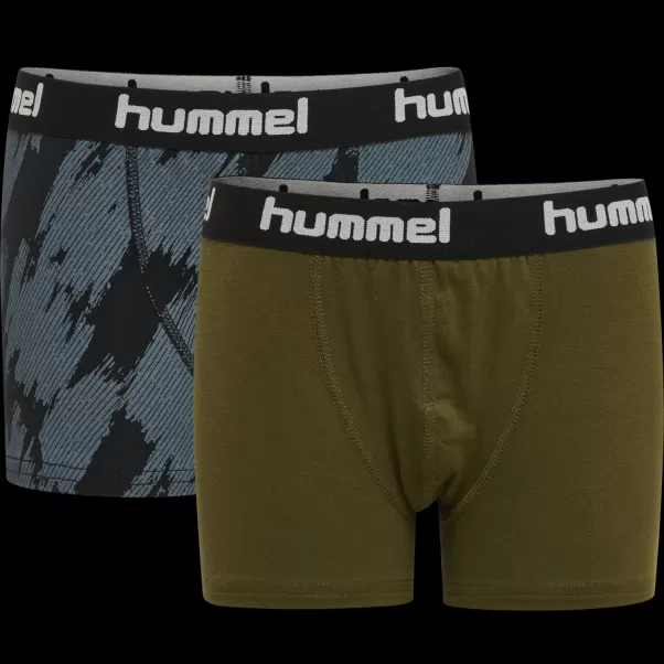 Underwear And Nightwear Kids Hmlnolan Boxers 2-Pack Sparrow Hummel